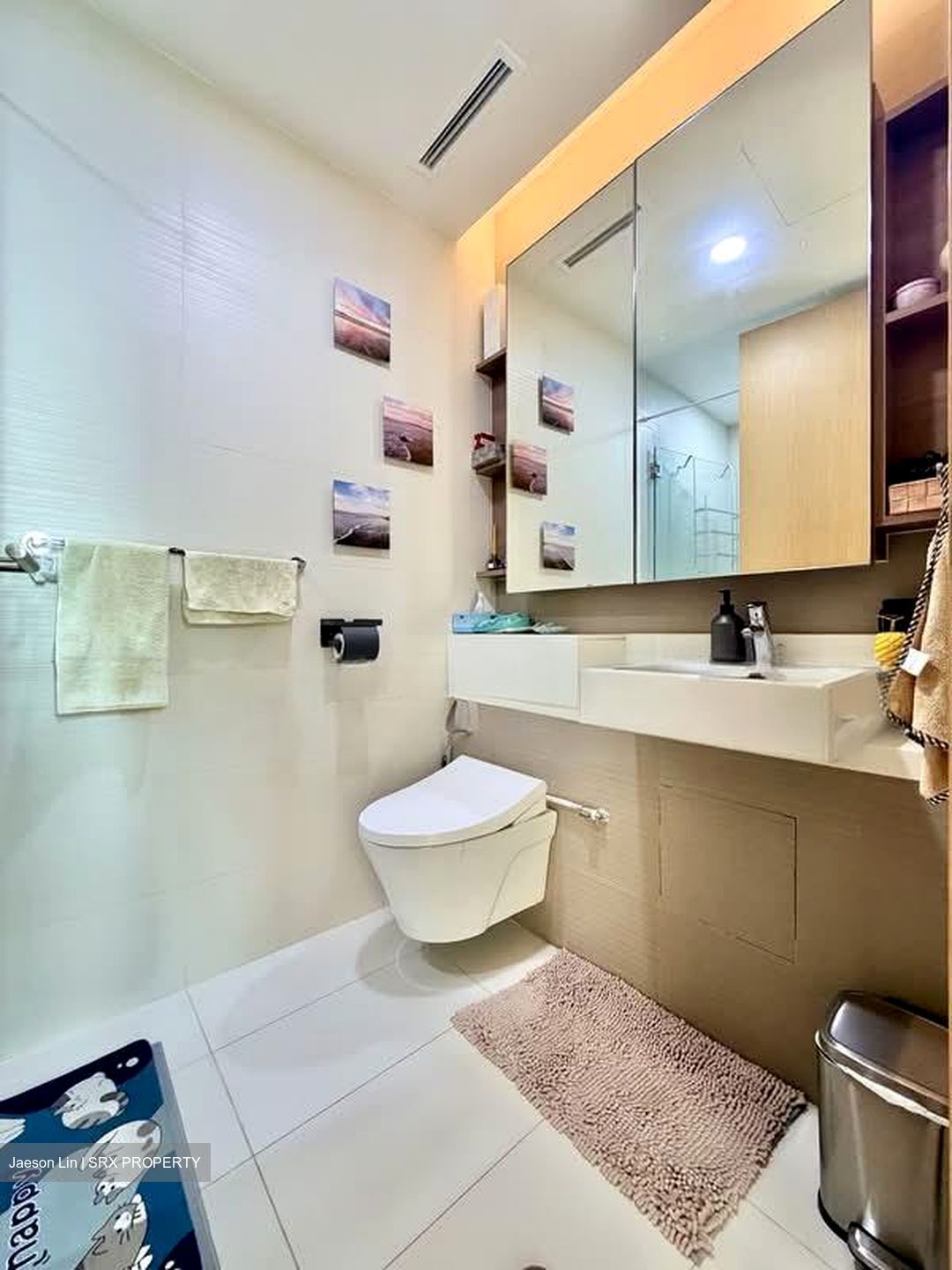 Soleil @ Sinaran (D11), Condominium #558883511